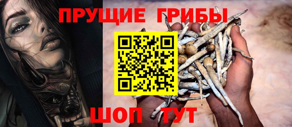 Псилоцибиновые грибы GOLDEN TEACHER  Вход с VPN  даркнет сайт  Кулебаки 